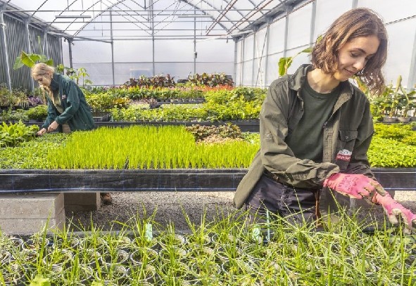 Eden's deep geothermal project online